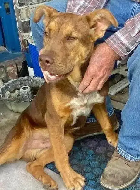 Jet