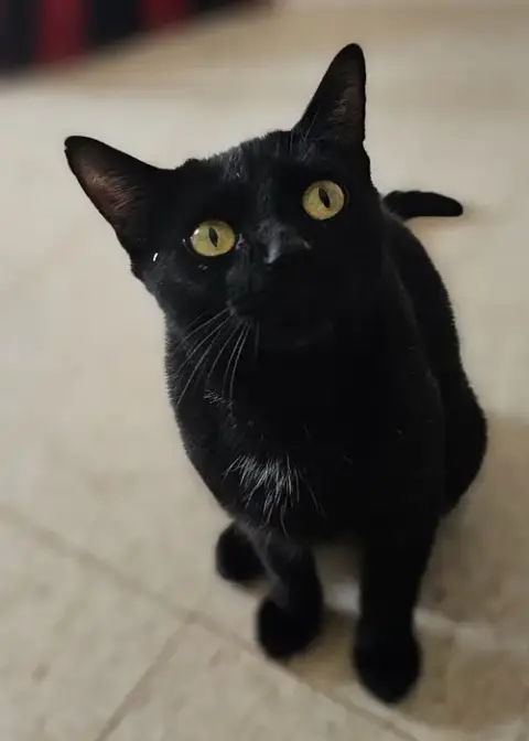 Ruby