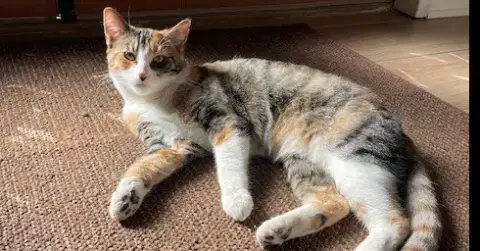 Baby Girl photo 2
