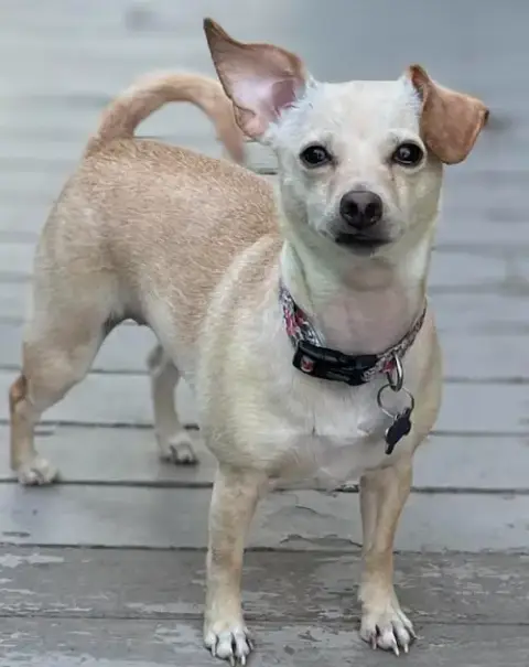 Cleo In Ri