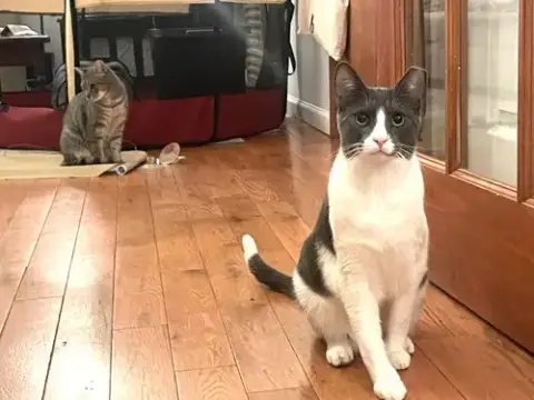 Big Boy And Mr. Man photo 5