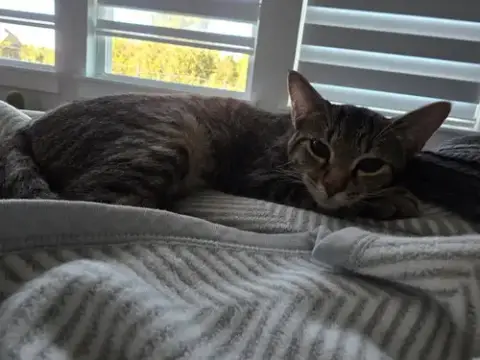 Mabel photo 3