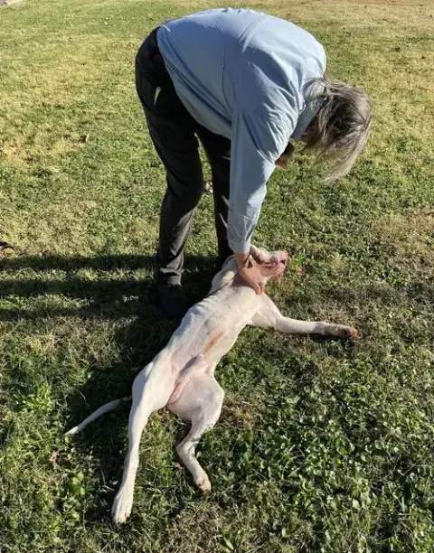 Petey In Covington Va photo 3