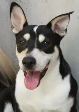 Lorenzo
