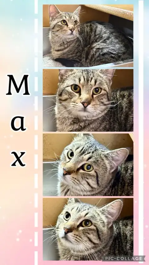 Max