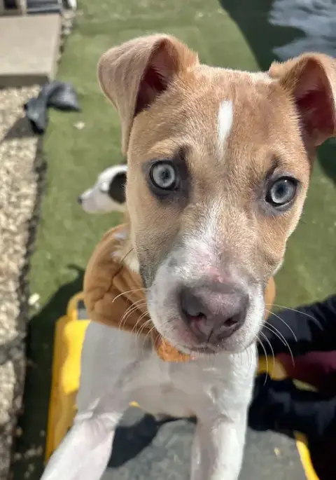 Zeus photo 4