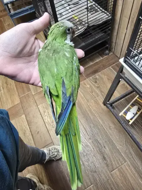 Buddy photo 2