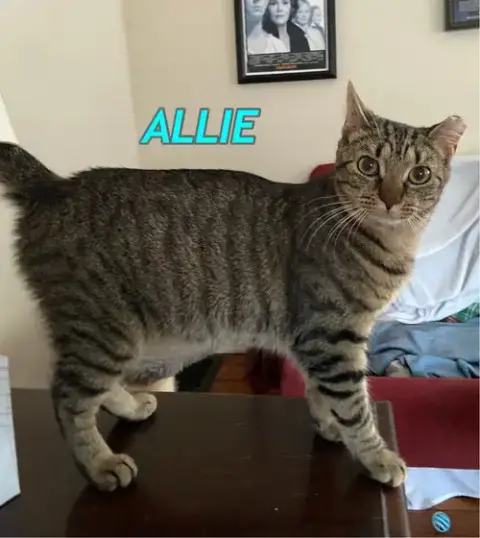 Allie And Prince photo 4