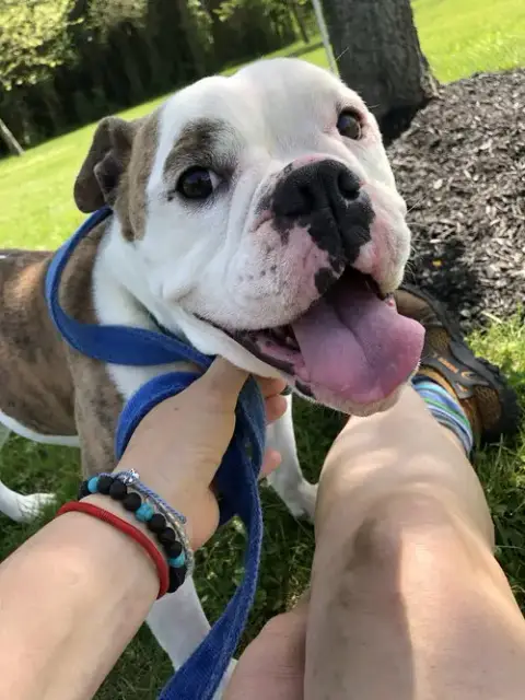 Daisy Mae photo 5