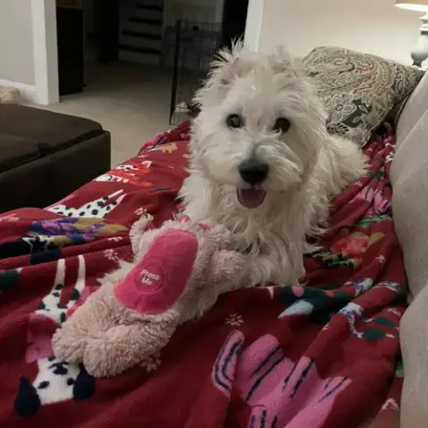 Winston photo 3
