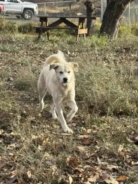 Heidi photo 2