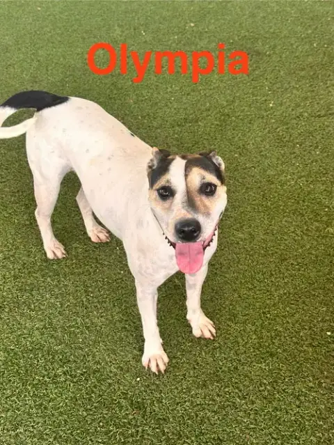 Olympia