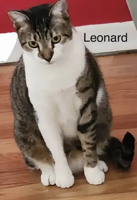 Leonard photo 2