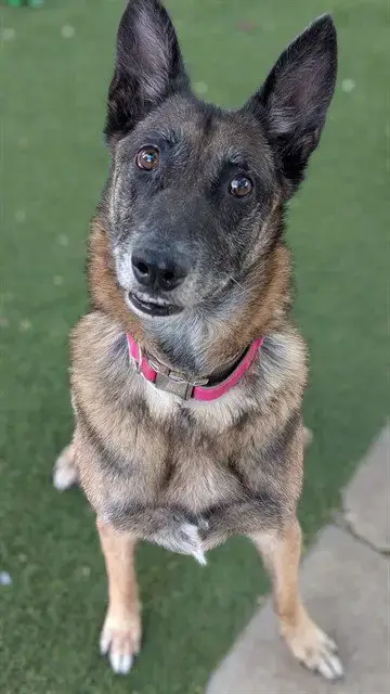 Santi