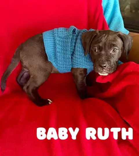 Baby Ruth