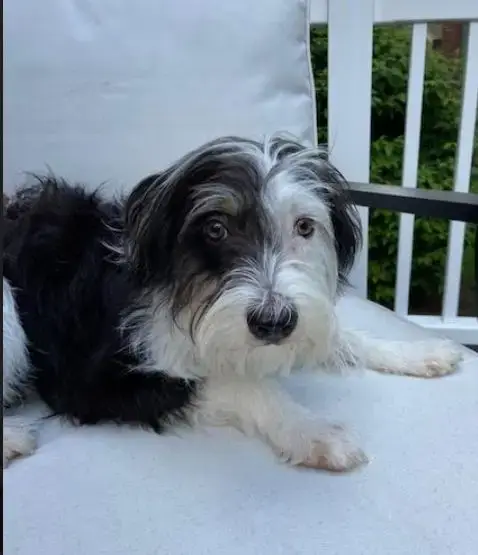 Holly In  Ri photo 4