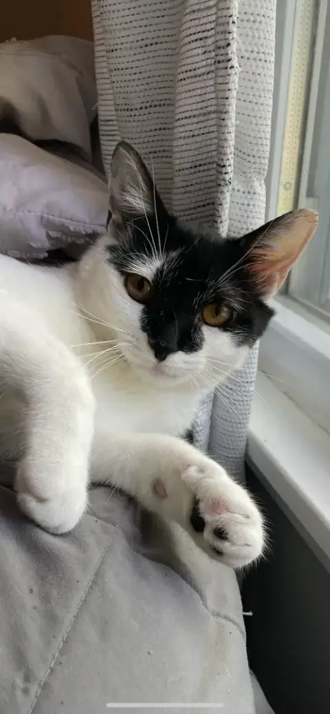 Amanda
