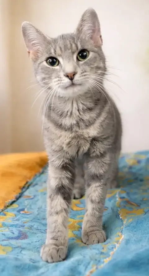 Kitten Wynn photo 3