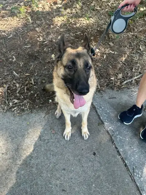 Atticus photo 2