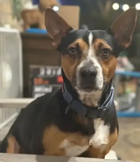 Xp Brody photo 5