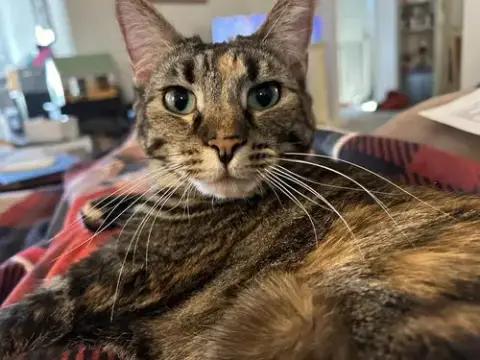 Duchess Country Club Fiv+ photo 3