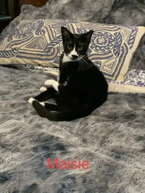 Courtesy List:  Maisie photo 2