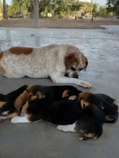 Fiona photo 2