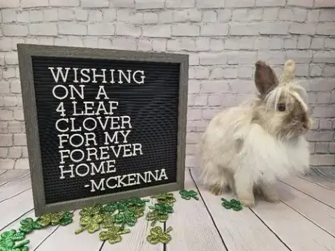 Mckenna photo 2