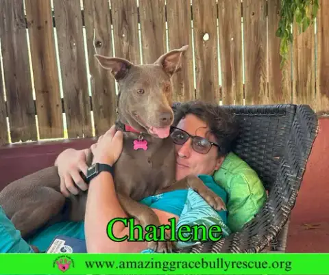 Charlene photo 5