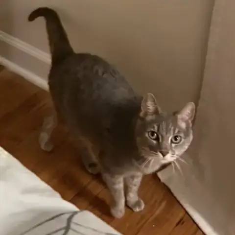 Sophie