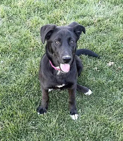 Sophie photo 2
