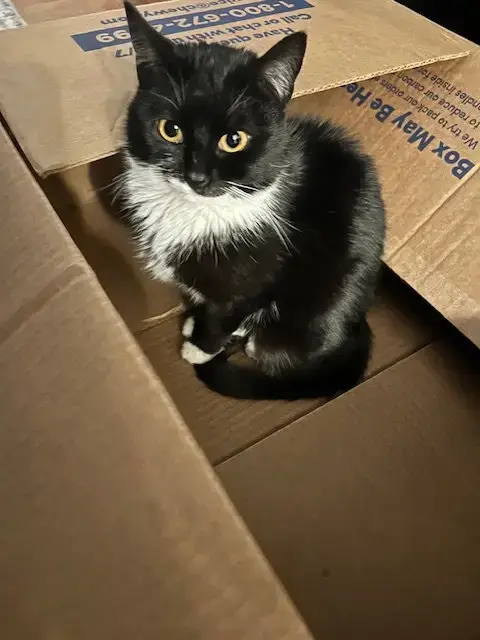 Bibi photo 4