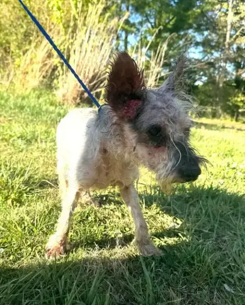Zoe photo 4