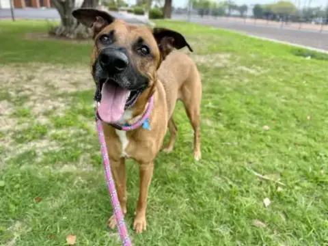 Lucy