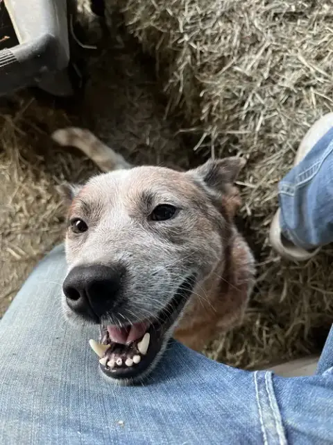 Oakley photo 3