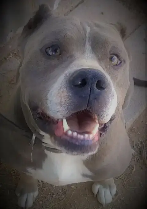 George photo 2