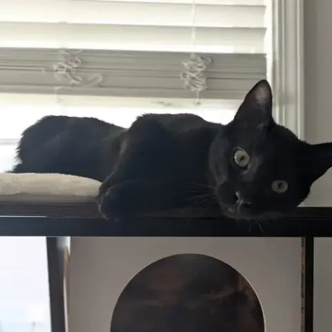 Salem photo 2