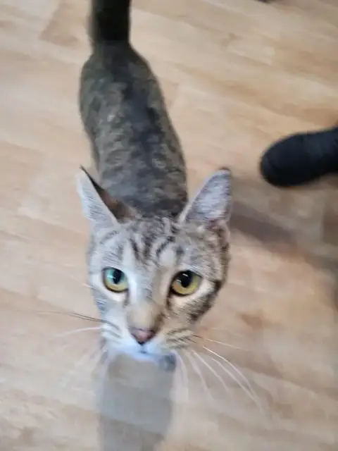 Tilly