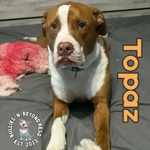 Topaz photo 3
