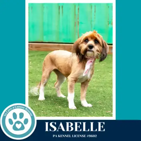 Isabelle