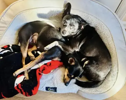 Maggie & Minnie photo 3