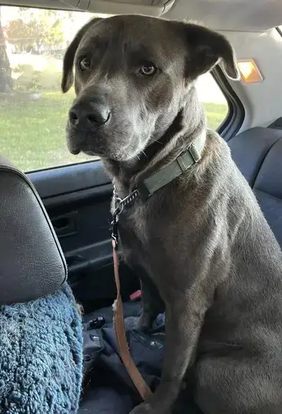 Zeus photo 5