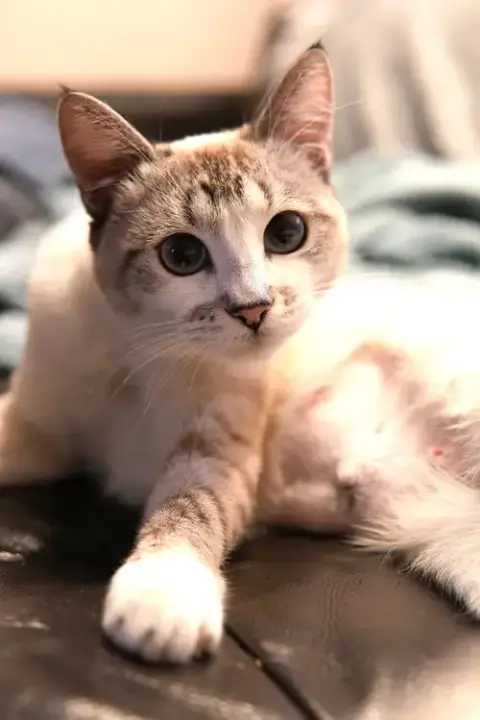 Lyla photo 2