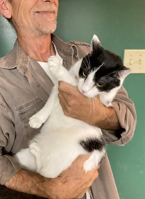 Mervin Bonded With Marla photo 3