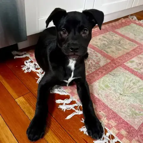 Baby photo 2