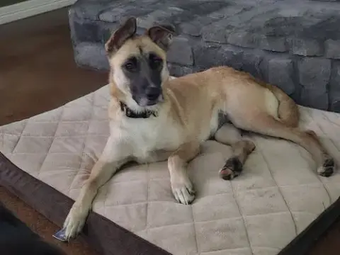Ella