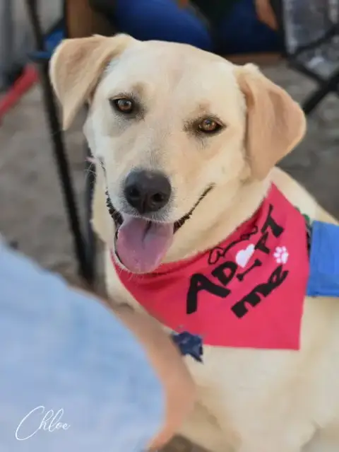 Chloe
