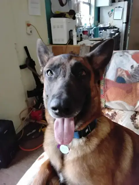 Lily Located In Kansas photo 4