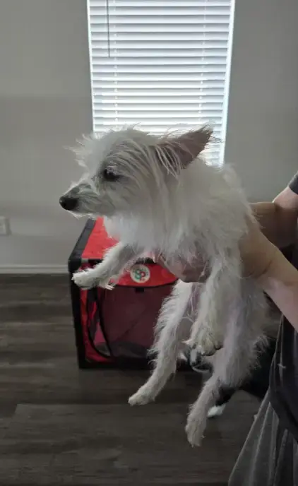 Natalie In Tx photo 5