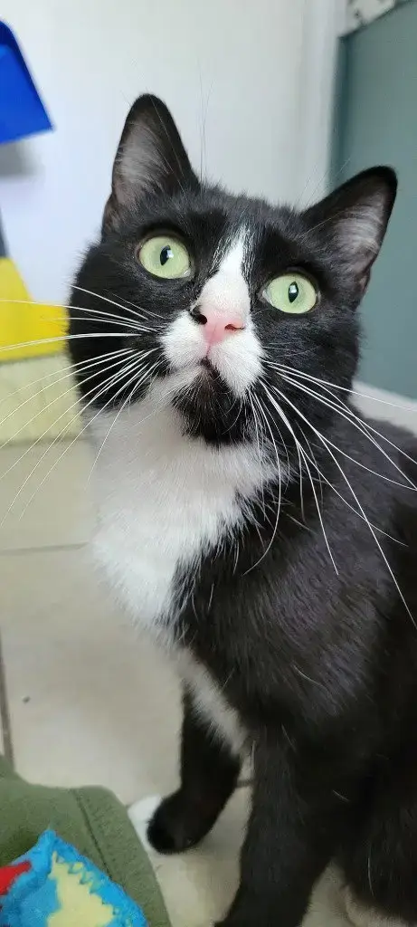 Delilah photo 4